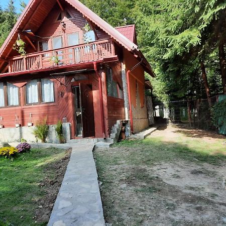 Casuta Paterau Cheia, Prahova Villa Cheia  Dış mekan fotoğraf