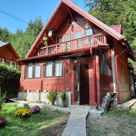 Casuta Paterau Cheia, Prahova Villa Cheia  Dış mekan fotoğraf