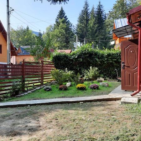 Casuta Paterau Cheia, Prahova Villa Cheia  Dış mekan fotoğraf