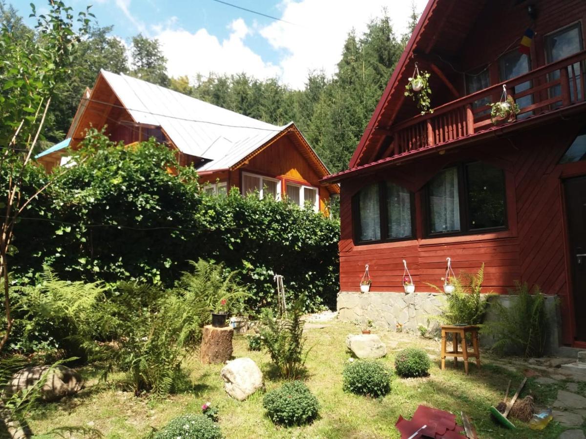 Casuta Paterau Cheia, Prahova Villa Cheia  Dış mekan fotoğraf