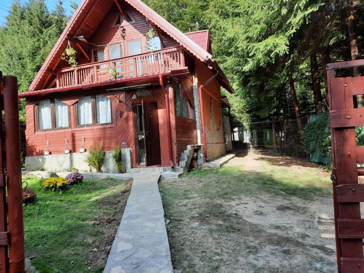 Casuta Paterau Cheia, Prahova Villa Cheia  Dış mekan fotoğraf