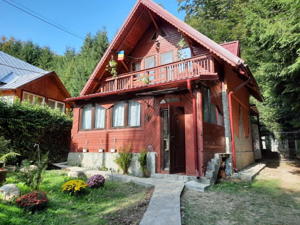 Casuta Paterau Cheia, Prahova Villa Cheia  Dış mekan fotoğraf