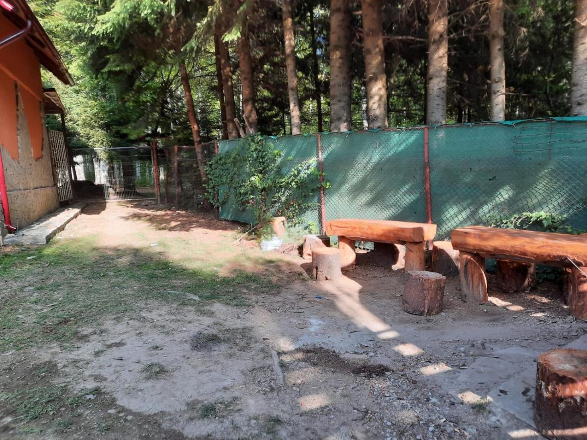 Casuta Paterau Cheia, Prahova Villa Cheia  Dış mekan fotoğraf