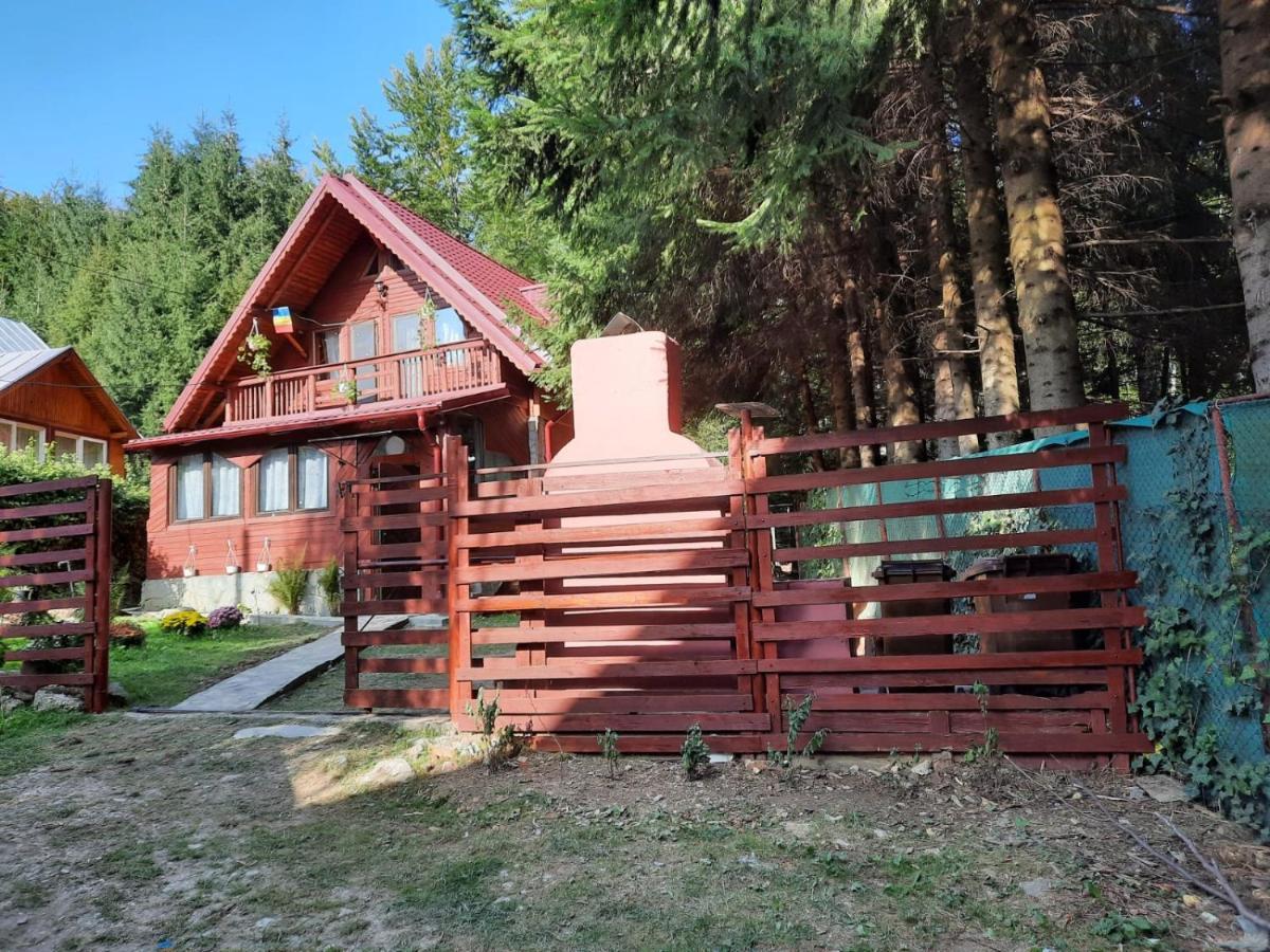 Casuta Paterau Cheia, Prahova Villa Cheia  Dış mekan fotoğraf